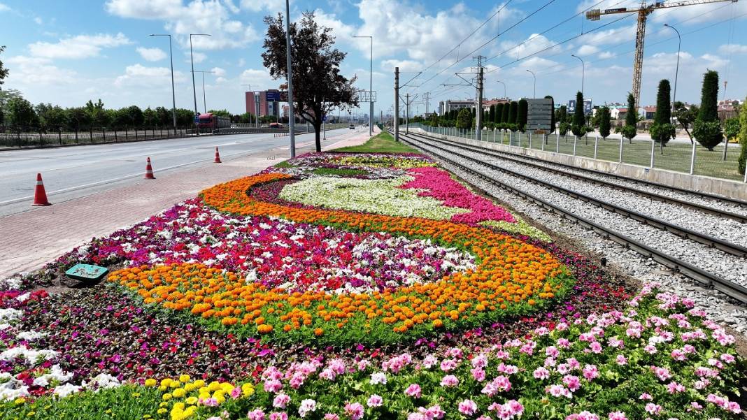 1,8 milyon çiçek, açtı: İşte göz kamaştıran Konya park ve caddeleri 15